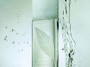Green Tea  Elizabeth Arden for women Pictures