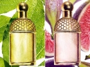 Aqua Allegoria Figue - Iris Guerlain for women Pictures