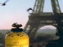Paris  Yves Saint Laurent for women Pictures