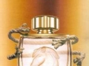 Lalique Pour Homme Equus Lalique for men Pictures