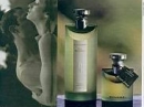 Eau Parfumee au The Vert  Bvlgari for women and men Pictures