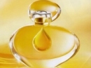 Intuition  Estée Lauder for women Pictures