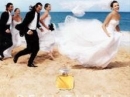 Beautiful  Estée Lauder for women Pictures