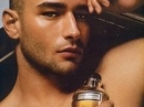 D&G  Dolce&Gabbana for men Pictures