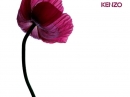 Flower by Kenzo  Kenzo for women Pictures