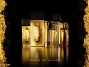 Donna Karan Gold Donna Karan for women Pictures