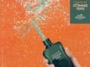 Concentre d`Orange Verte Hermes for women and men Pictures