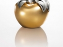 Nina Gold Edition Nina Ricci for women Pictures