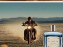 Hilfiger Est. 1985 Tommy Hilfiger for men Pictures