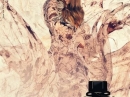 Flora by Gucci Gucci for women Pictures