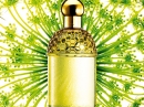 Aqua Allegoria Angelique Lilas Guerlain for women Pictures