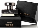 Black Walnut Banana Republic for men Pictures