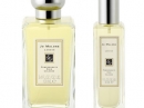 Pomegranate Noir Jo Malone for women and men Pictures