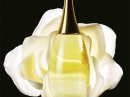 J`adore L`eau Cologne Florale Dior for women Pictures