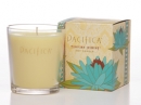Tunisian Jasmine Pacifica for women Pictures