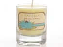 Tunisian Jasmine Pacifica for women Pictures