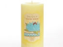 Tunisian Jasmine Pacifica for women Pictures