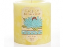 Tunisian Jasmine Pacifica for women Pictures