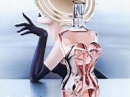Classique  Jean Paul Gaultier for women Pictures