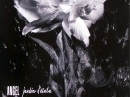 Angel Garden Of Stars - Violette Angel Thierry Mugler for women Pictures