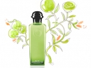 Les Colognes Hermes Eau de Pamplemousse Rose Hermes for women and men Pictures