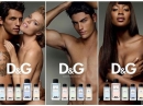 D&G Anthology L`Amoureux 6 Dolce&Gabbana for men Pictures
