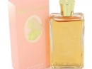 White Shoulders Evyan for women Pictures