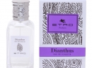 Dianthus Etro for women Pictures