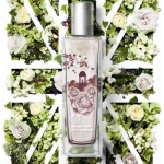 English Dawn White Gardenia