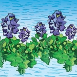 L'Occitane en Provence Aguape