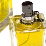 Baruto, Perfume House From Amsterdam