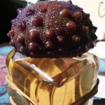Mendittorosa Sogno Reale: A Dream So Real We Can Smell It