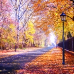 Perfumed Horoscope September 28 - October 4