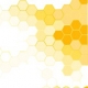 To Bee by Roxana Illuminated Perfume