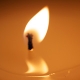 Thompson Ferrier Candles