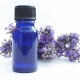 Perfumer Shelly Waddington About Her Book Perfuming With Natural Isolates