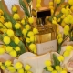 Cerchi Nell'Acqua by Enrico Buccella: L'Exotique & Ipazia