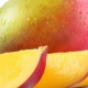 Mango – The King of Fruits