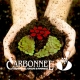 Carbonnel S.A. - Interview with the perfumers (Inventors of Our Fragrant Fairy Tales)