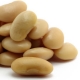 SOY – The Miracle Crop