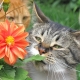 Perfumed Horoscope July 2 - July 8