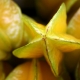 Star Fruit