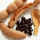 Tamarind