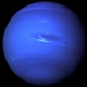 Perfumed Horoscope November 19 - 25