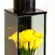 Ovando Scented Candles