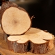 Juniper Ridge