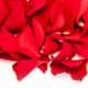 From Momentous Revelation to Fitting Perfume to a Mood
