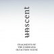 UNSCENT - INTERTRADE Art Exhibition of Perfume in Milan