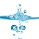 Oh for Eaux! The Renewed Vogue for Eaux Fragrances