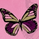 Hanae Mori No7